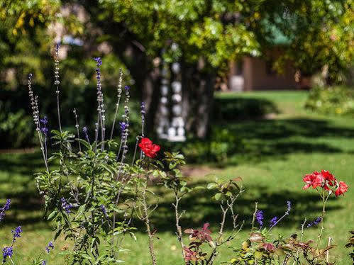 Chartwell Castle & Guest House מראה חיצוני תמונה